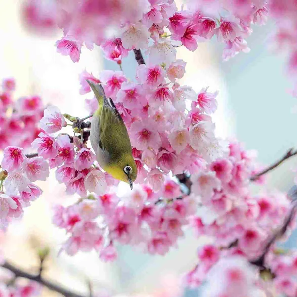  عوض شدی یکم پشیمونی یکم