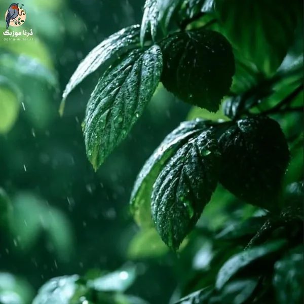 پژو پارس اسم سی یارم یارم قشنگه فقط پژو پسنده