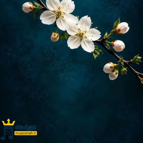  صوبر زدم میاد وایبت از گل کشو بزن زمین