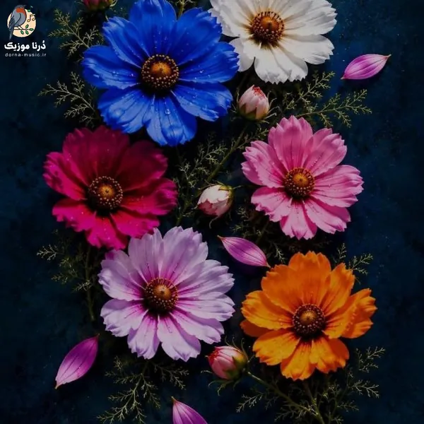  مست میکنم یادم بره یادم بره چقد حالم لهه