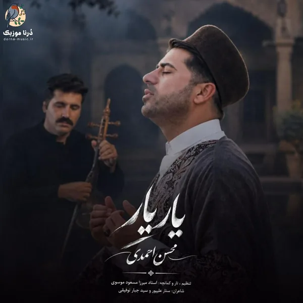 محسن احمدی یار یار