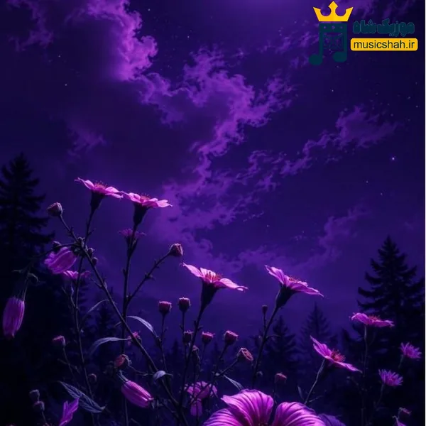میبخشم میمونه یادم این زخمم میبخشم یادتم
