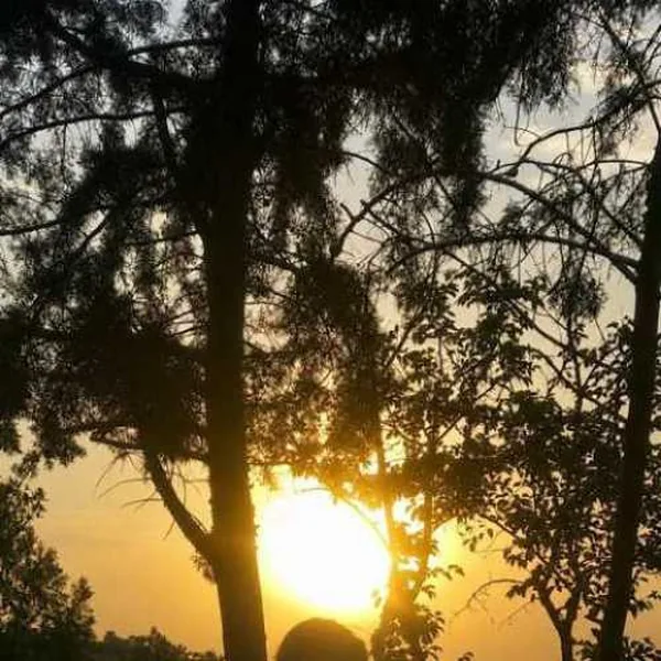 سام روزای روشن
