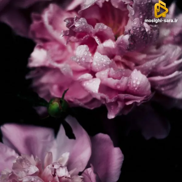 حرفاتون همش کنتر به کسی که پا هدفشه