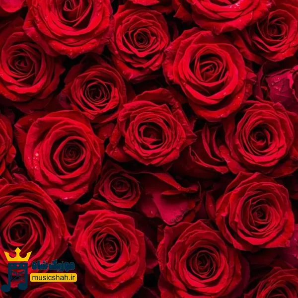  دیگه مهم نی برگا ریختن پاییز شده ولی (میکس اینستا)