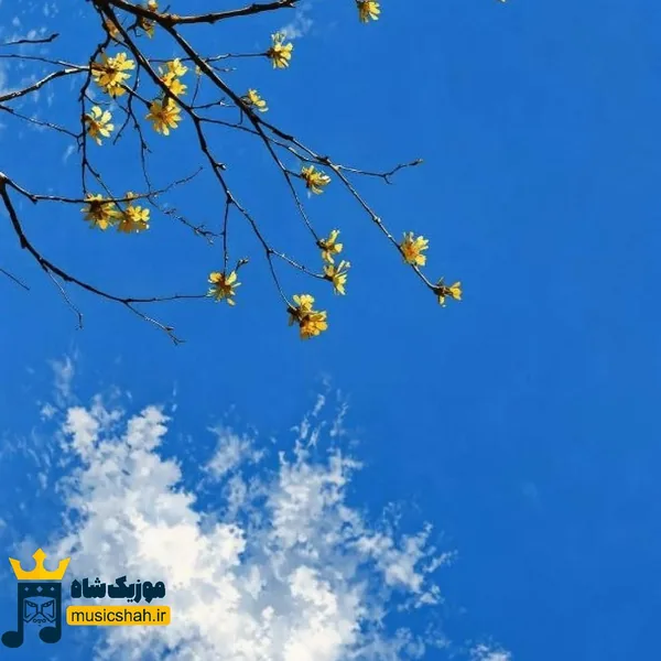 آروم بگیر دخی نشو جلوم دستپاچه