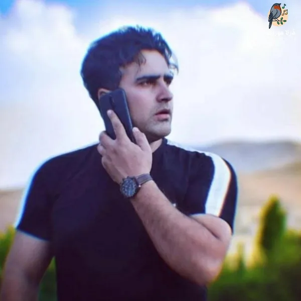 علی فرزامی غم دوری