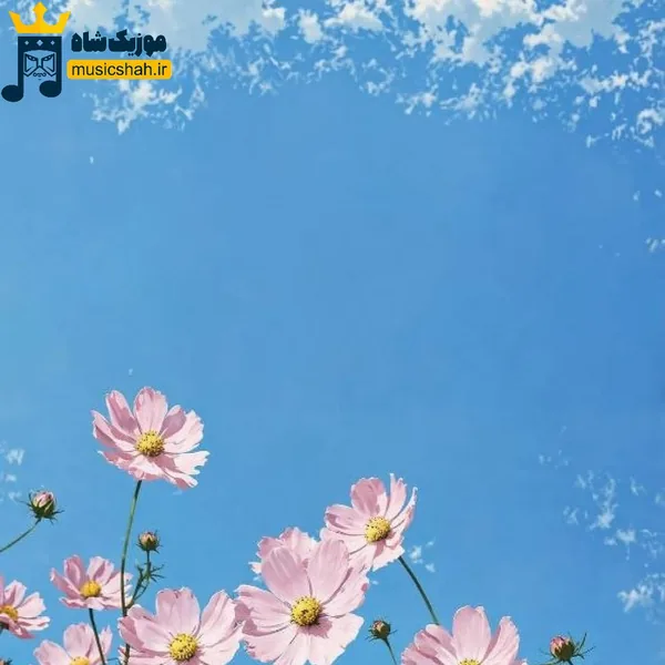 اگه نباشی پره دلم و خالیه پشتم بازیچه ی هوس منم
