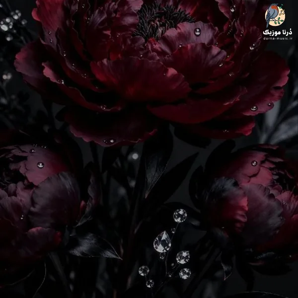 تورو خاکت کردن منو ساکت کردن (هوش مصنوعی)