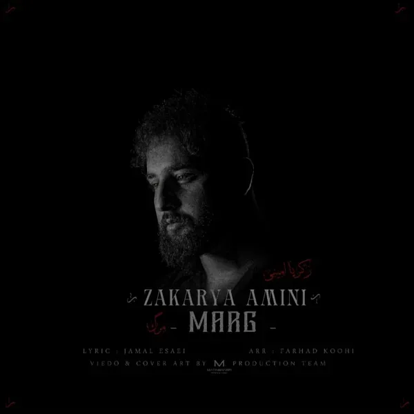 دانلود آهنگ مرگ زکریا امینی