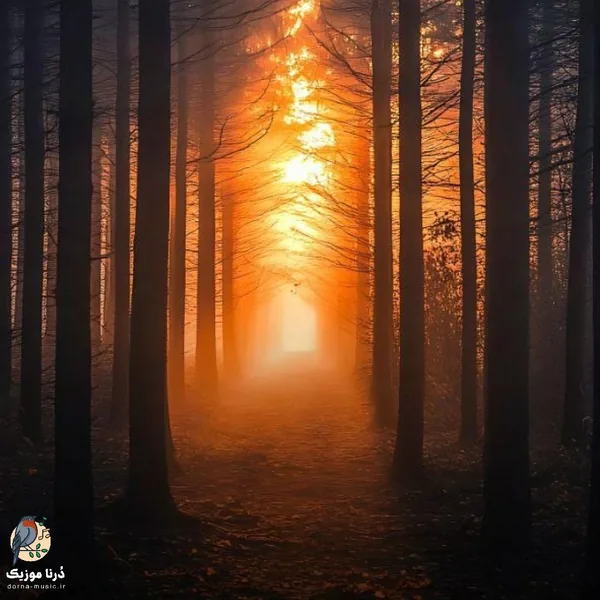 تو اگه منو میخواستی به بقیه تکست نمیدادی (میکس اینستا)
