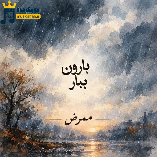 ممرض ببار بارون