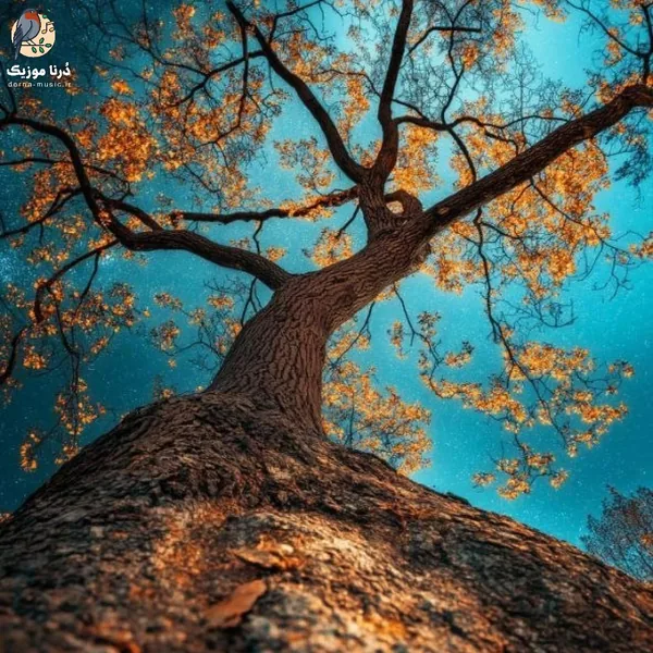 دل مه به تو چه تنگن شو و روزنم یه رنگن (هوش مصنوعی)