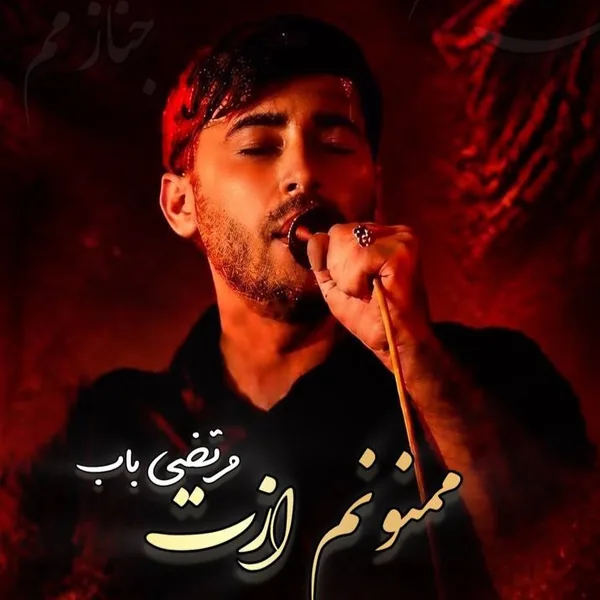 مرتضی باب ممنونم ازت
