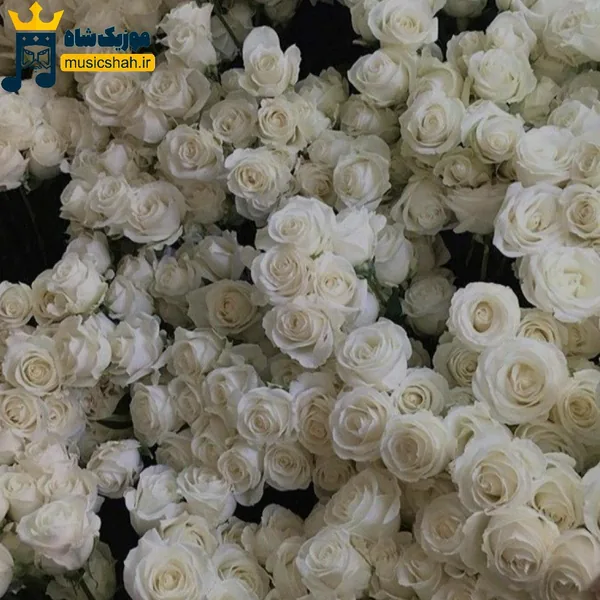  موهامو بستم آماده ام برای رقص (هوش مصنوعی)