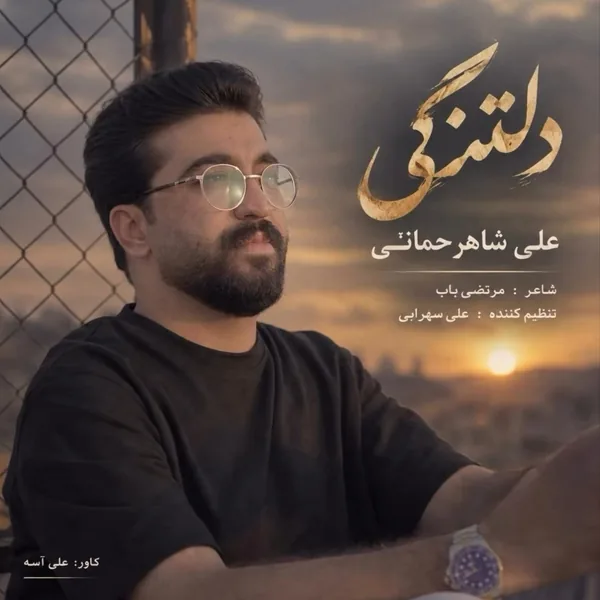 علی شاهرحمانی دلتنگی