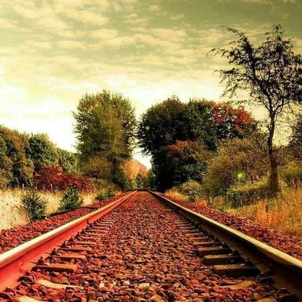 دانلود آهنگ تو دلت تنگ نشد واسم موردی نی زخم شده