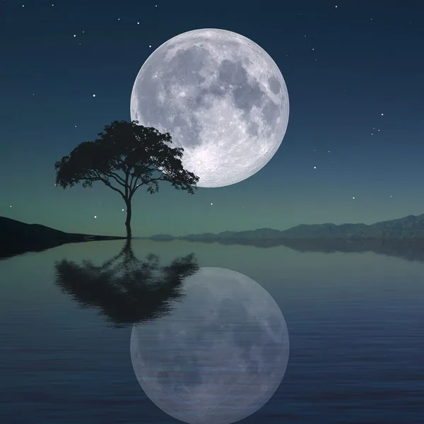  آرزو میکنم نبینمت دیگه جایی میدونم الانم