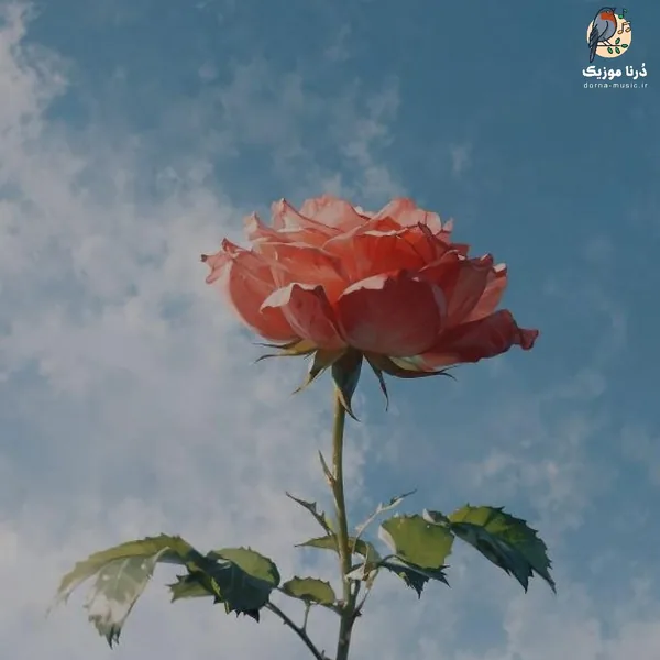  ساعت جفته شبا نمیبره خوابم نمیری از یادم