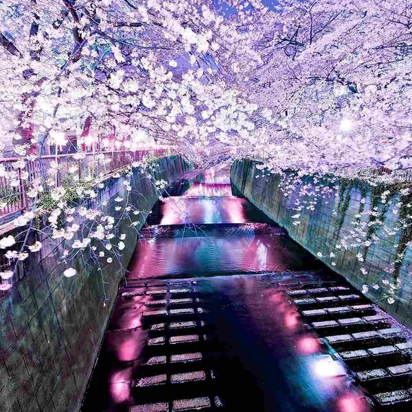 جونی جونم بیا دردت به جونم هوش مصنوعی