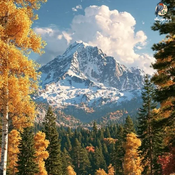  صدام خیلی گرفته مثل صدای سازم (میکس اینستا)