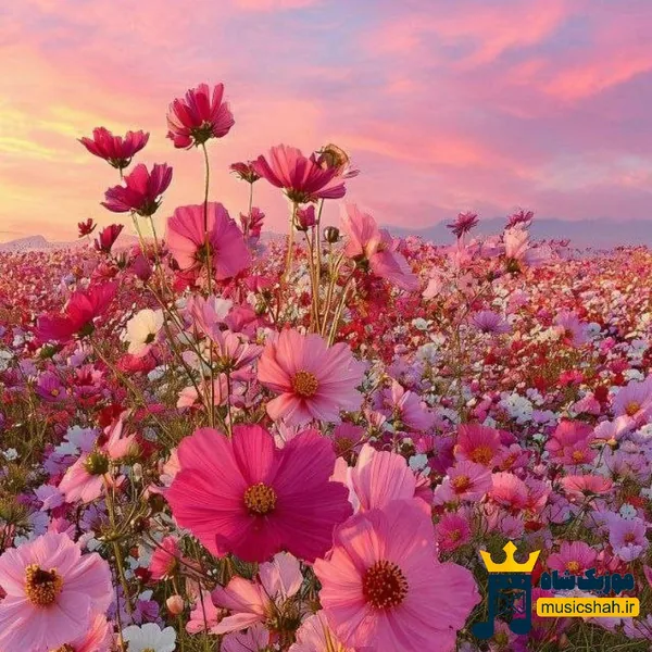 تو تنهایی و من تنهاتر از تو (هوش مصنوعی)