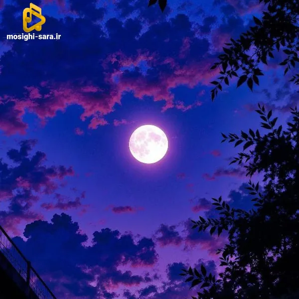 مه گه تو خوری گیانم من خور په رستهم(ترند اینستا)