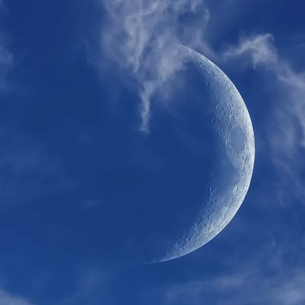 نشونم دقیقه جلو غزل میخونم قصیده