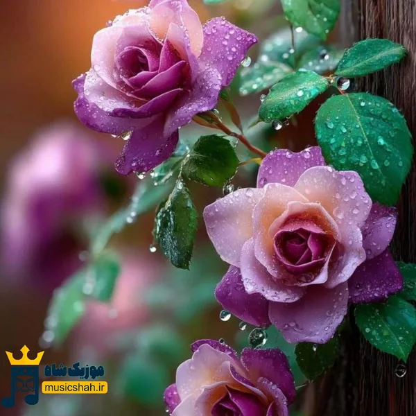 تو حتی یه ذره شبیه حرفات نبودی آرومم ولی