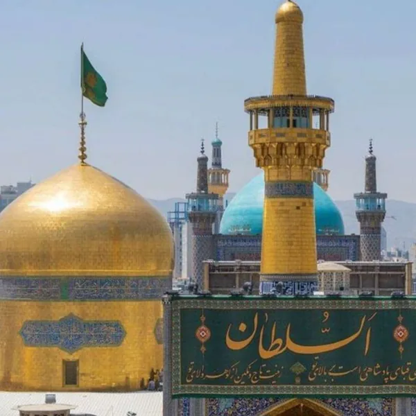 محمدرضا نوشه ور بر وطن فروش بی نسب لعنت بر ذات پلید و بی وجود اون حاکمان ترسوی عرب لعنت