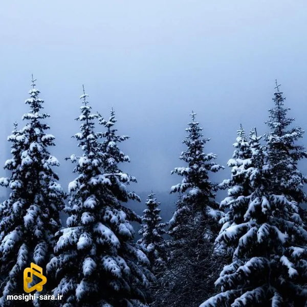 شیطون و بلایی عیار بالا طلایی تو نقاشی