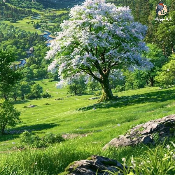  تنها با گلها گویم غم ها را چه کسی داند (میکس اینستا)