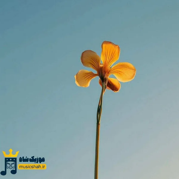 وقتی رفت فهمیدم کیو از دست میدم