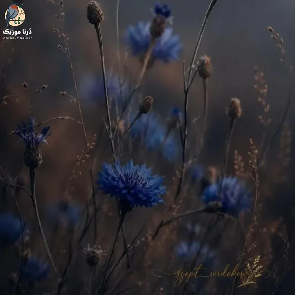 پرادو پرادو ول بکنم پارس و بچسبم (ترند اینستا)