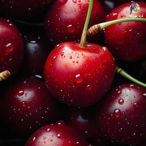  تو تنهایی و من تنهاتر از تو (هوش مصنوعی)