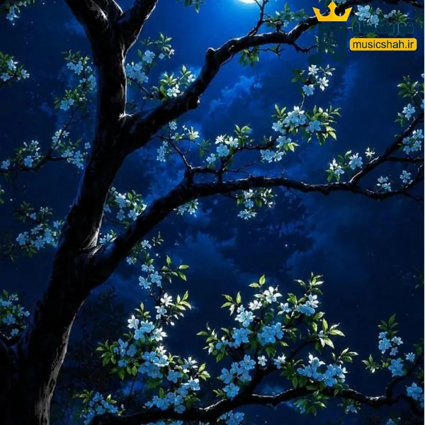 دود چیه کاکا با تو نعشم هرچیو بخوای بدی