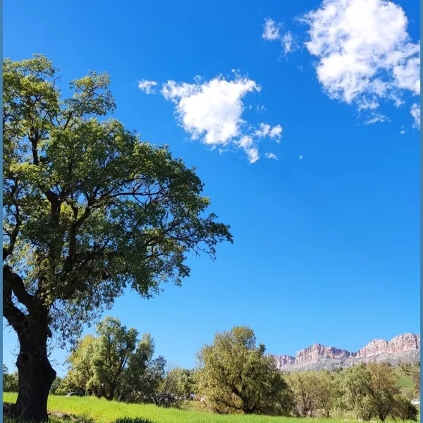  گفتی بری نمیای دیگه از جون من چیزی نمیخوای