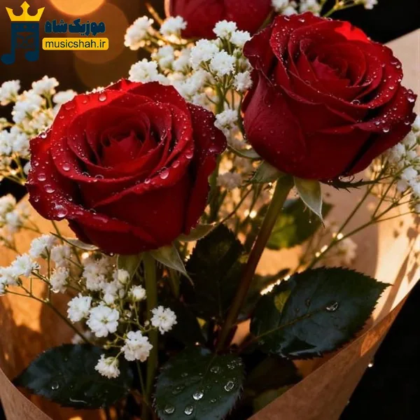 پاییز شده رفته عمرم چجور دوست داشتنیه