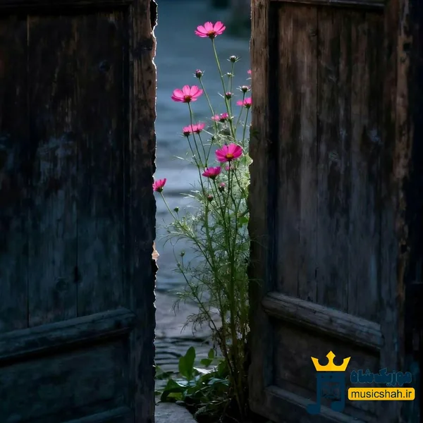  با خودم چند چندم تو تنهاییام گرفت قلبم درد