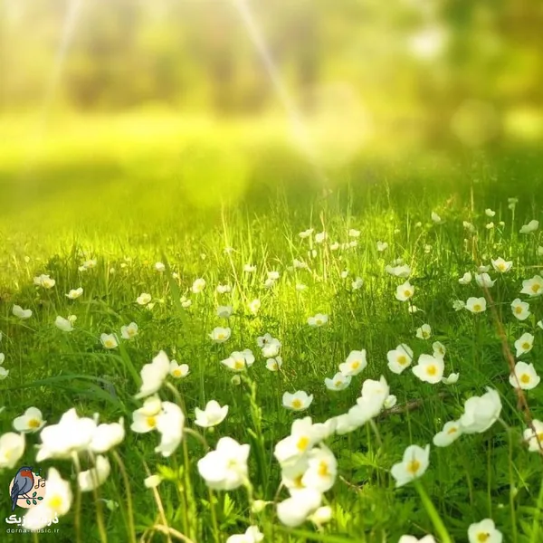 تنفر حس و حالم به همه میگی آدم دورم زیاده
