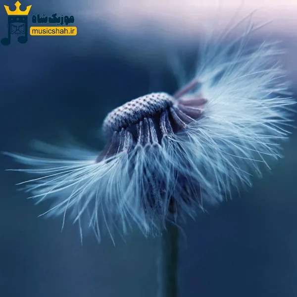  من یه تیکه از بغض خدا رو زمینم زیاد میکنم