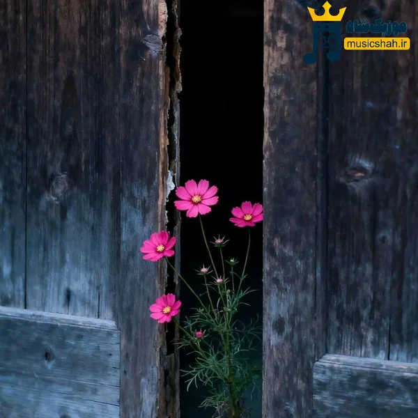  بیا بابا که دل خونم من از درد جدایی (هوش مصنوعی)