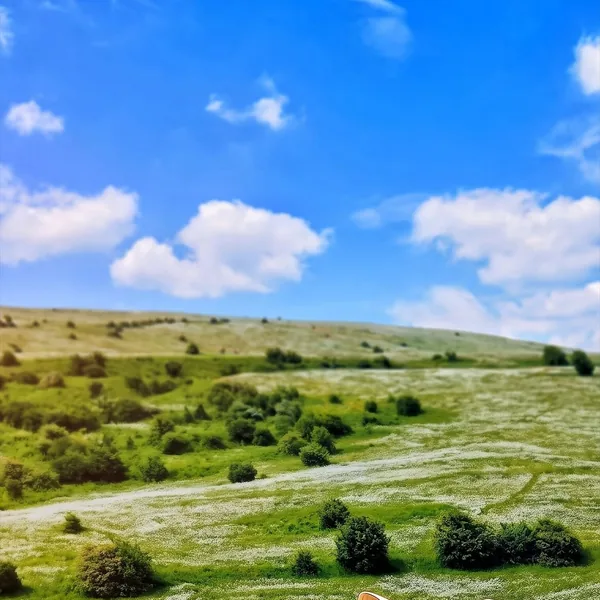 ستایش صادق زاده میون ایلوم
