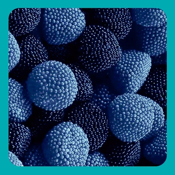 به خودت نگو چرا وضع اینه داری میشی