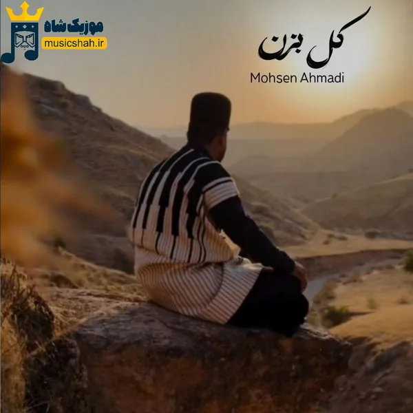 محسن احمدی کل بزن