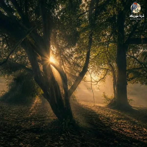  قلبمو پر پر کردی میگن خیلی دوسش داری (میکس اینستا)