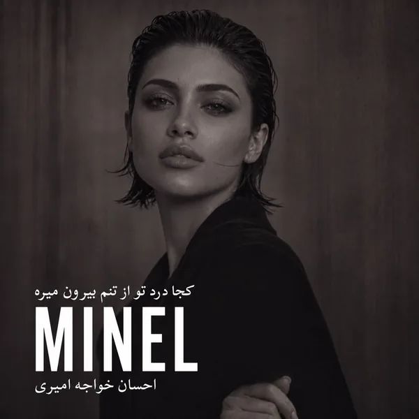 مینل نگو برگرد
