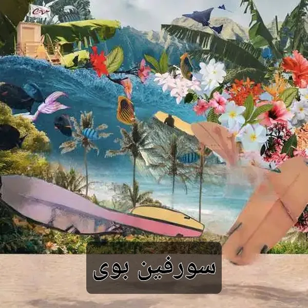 رد ولوت سورفین بوی