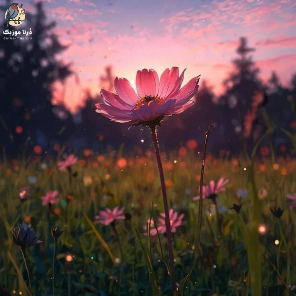 برو دیگه مردی برا من باشه اصلا بردی منو (میکس اینستا)