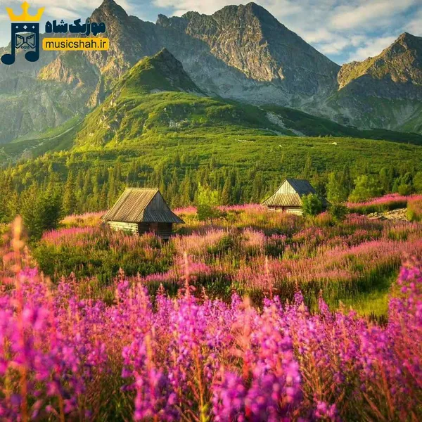 قلبمو پر پر کردی میگن خیلی دوسش داری (میکس اینستا)